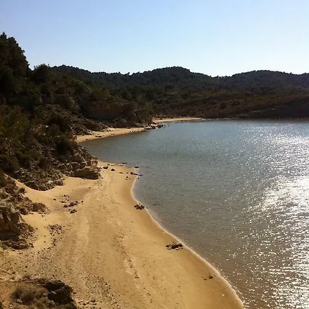 Feniks * 로파르